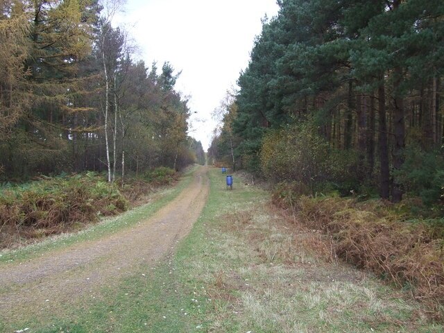 Foto “Warsill” tomada por Roger Nunn (CC BY-SA); recorte de la original