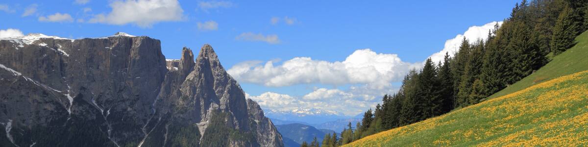 Photo "seen from the Seiser Alm." by Harald Hoyer (Creative Commons Attribution-Share Alike 2.0) / Cropped from original