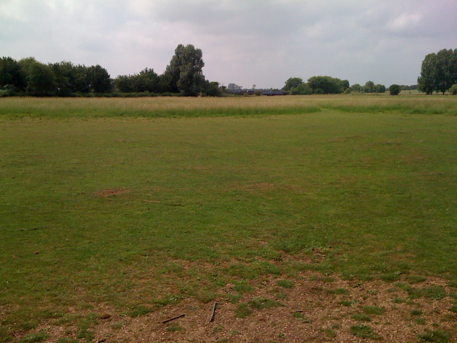 Field in Ferry Meadows