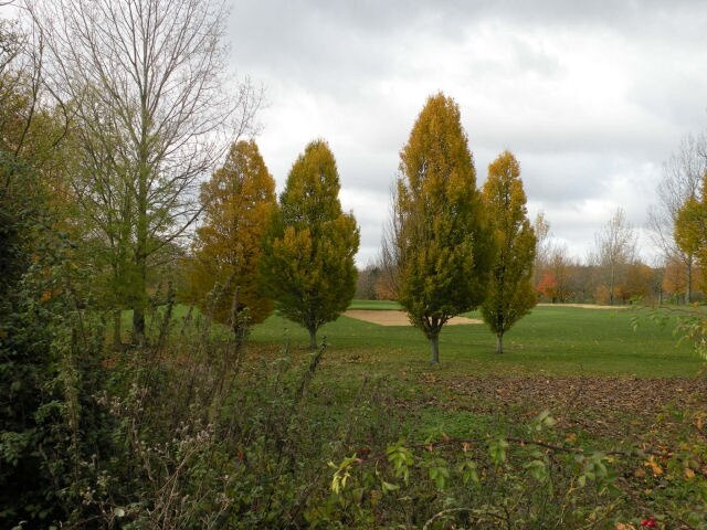 Foto „Dry Drayton“ von Keith Edkins (CC BY-SA)/zugeschnittenes Original