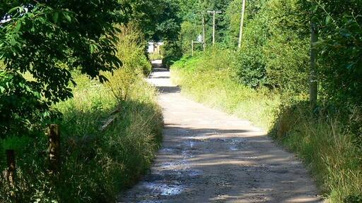 Foto “West Dean” tomada por Brian Robert Marshall (CC BY-SA); recorte de la original