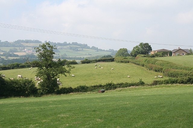 Upottery: Otter valley. Near Hayne Farm, looking north-north-west