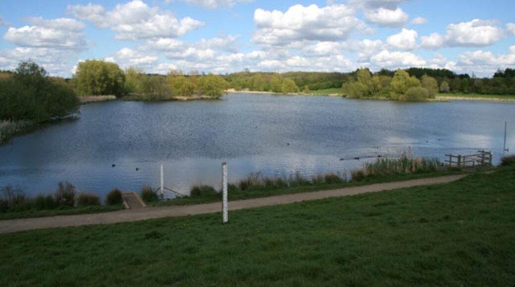 Photo "Melton Park" by Kate Jewell (CC BY-SA) / Cropped from original
