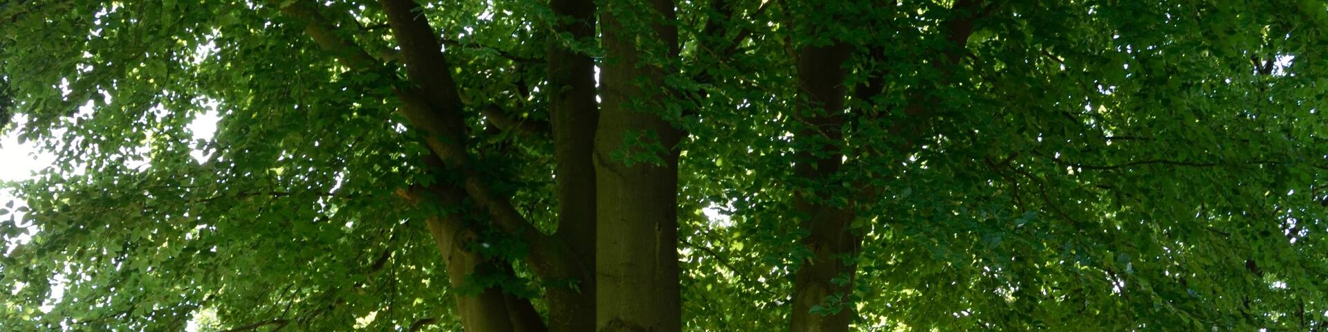 Brickeln, Schleswig - Holstein, Alemanha