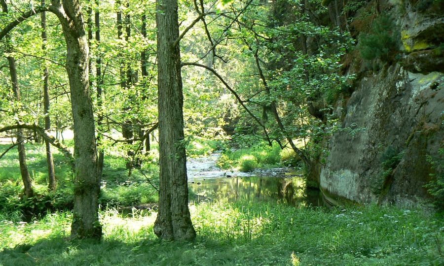 Nature Reserve Pavlino (or Pavlínino) údolí with river Chřibská Kamenice cutted into the Cretaceous sandstones, near Jetřichovice in Děčín District