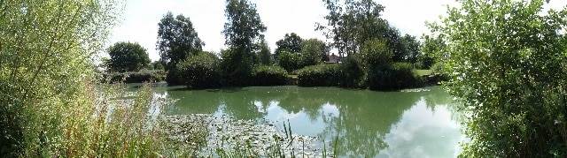 Tottenhill fishing lake. A panoramic view of the fishing lake at Tottenhill.