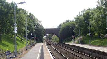 Road bridge, Portlethen Station