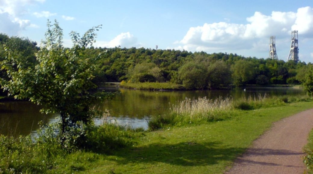 Photo "Vicar Water Country Park" by James Hill (CC BY-SA) / Cropped from original