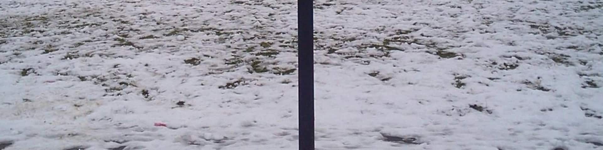 A basketball hoop located on the grounds of The Abbey School, Faversham