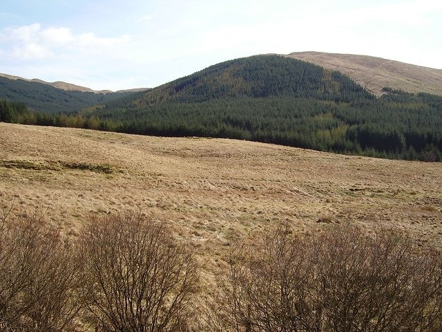 Beneath Coire No. Rough grazing below the forests covering Cruach nan Capull. A rare gap in the forestry.