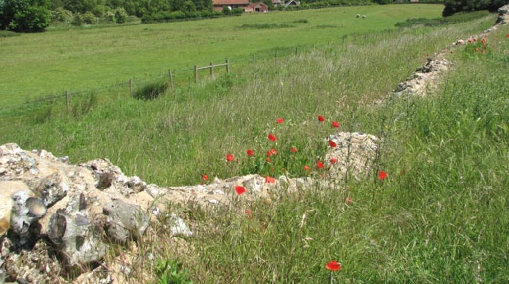 Photo "Caistor St Edmund and Bixley" by Evelyn Simak (CC BY-SA) / Cropped from original