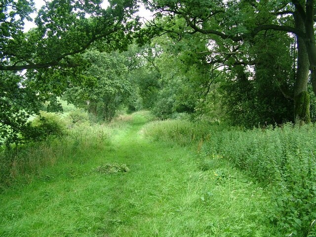 Foto “Crackenthorpe” tomada por David Brown (CC BY-SA); recorte de la original