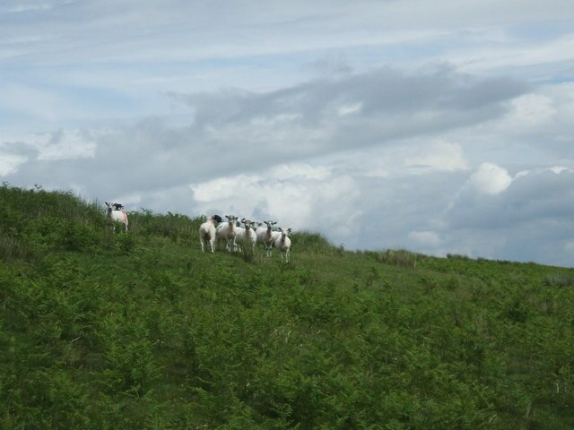 Foto "Lartington" de David Brown (CC BY-SA) / Recortada do original