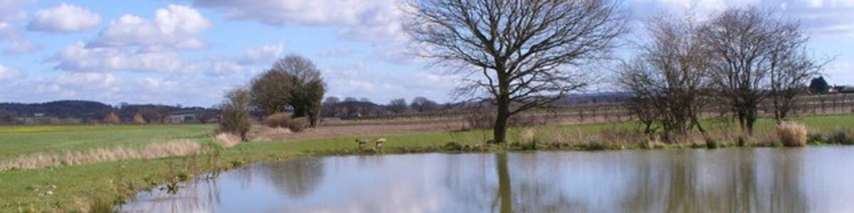 Photo "Pond North-east of Kingsley The small stream has been dammed to make a pond. On the far side is a bench for the benefit of anglers." by Colin Smith (Creative Commons Attribution-Share Alike 2.0) / Cropped from original