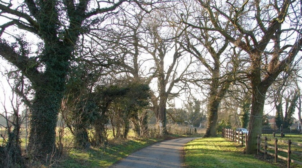 Photo "Threekingham" by Ian Paterson (CC BY-SA) / Cropped from original