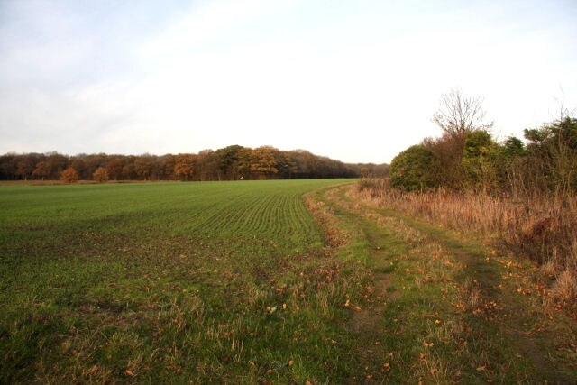 "Shelland"-foto av Bob Jones (CC BY-SA) / Urklipp från original