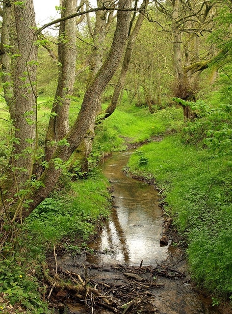 Grain Beck in Dalby Forest Situated just east of Staindale Lake in Dalby Forest