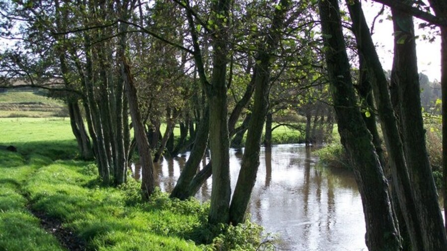 Photo "River Stour after heavy rain River Stour between West Stour and Stour Provost, just south of Dorset County Council footpath N71/76 (part of the Stour Valley Way). The river meanders down this wide valley, and floods most winters." by Martin Hibbert (Creative Commons Attribution-Share Alike 2.0) / Cropped from original