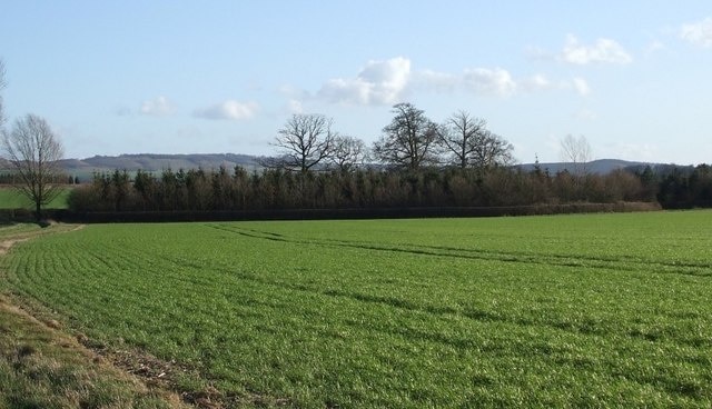 Photo "Mentmore" by Rob Farrow (CC BY-SA) / Cropped from original