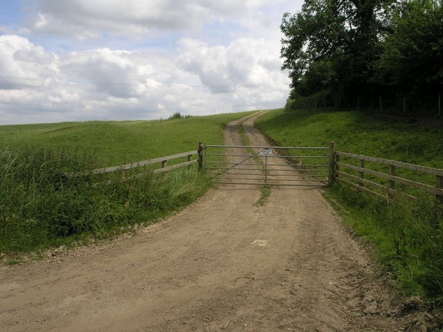 Steep Track. This steep farm track climbs up to farm buildings behind the trees.