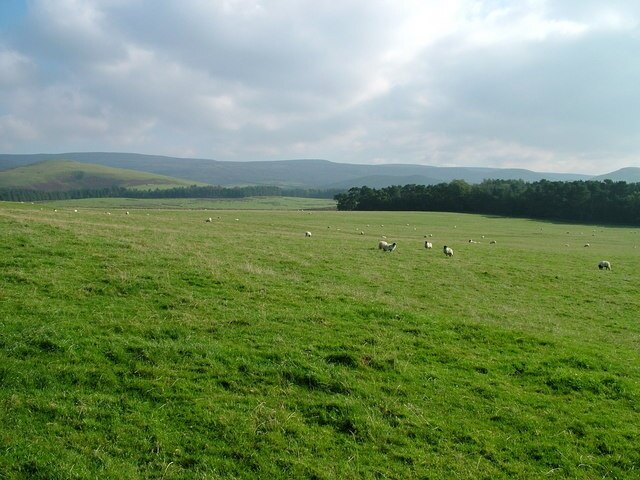 Field west of Milburn