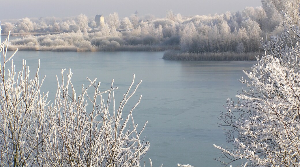 Photo "Adenstedt" by Andreas Schoring (CC BY) / Cropped from original