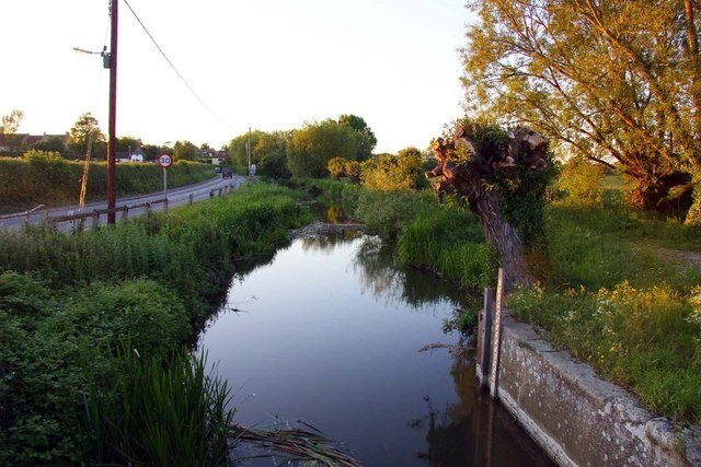 Photo "Shabbington" by Steve Daniels (CC BY-SA) / Cropped from original