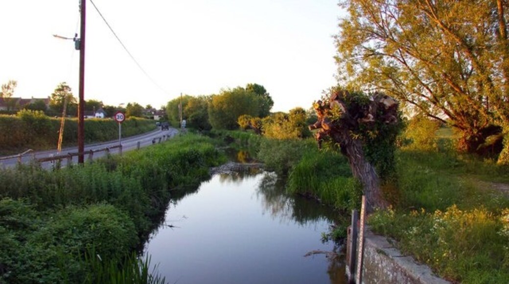 Photo "Shabbington" by Steve Daniels (CC BY-SA) / Cropped from original