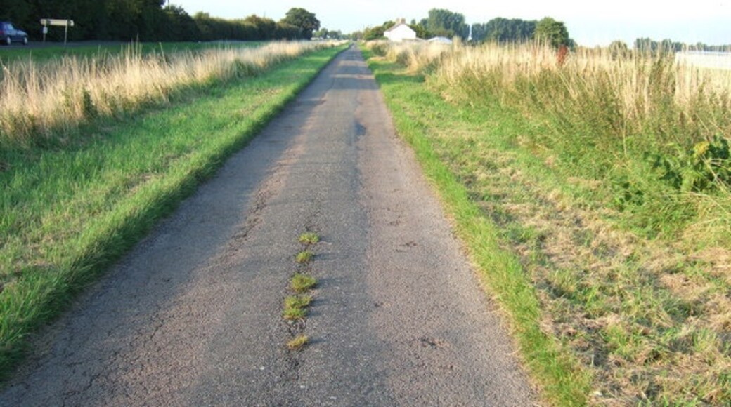 Photo "Wisbech St. Mary" by Richard Humphrey (CC BY-SA) / Cropped from original