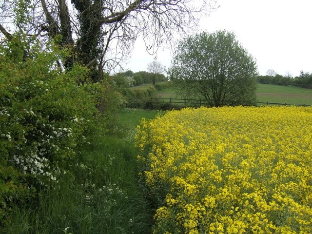 "Ashton"-foto av Jonathan Billinger (CC BY-SA) / Urklipp från original