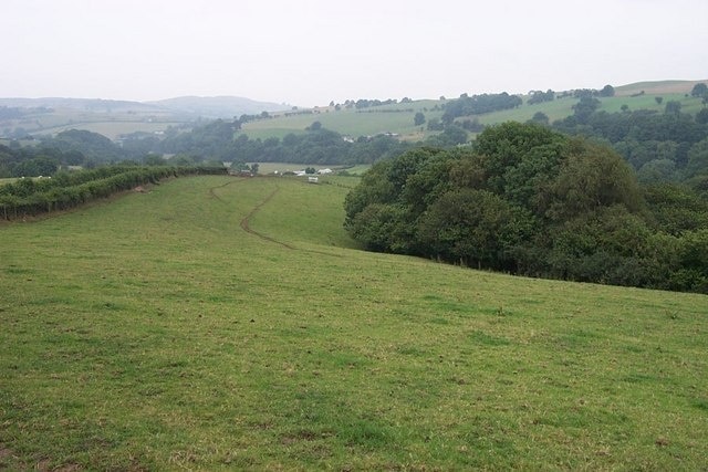 Field near Coed Salusbury. This field about two kilometres Southeast of Llangernyw near Coed Salusbury is at grid reference SH 88756 65342.