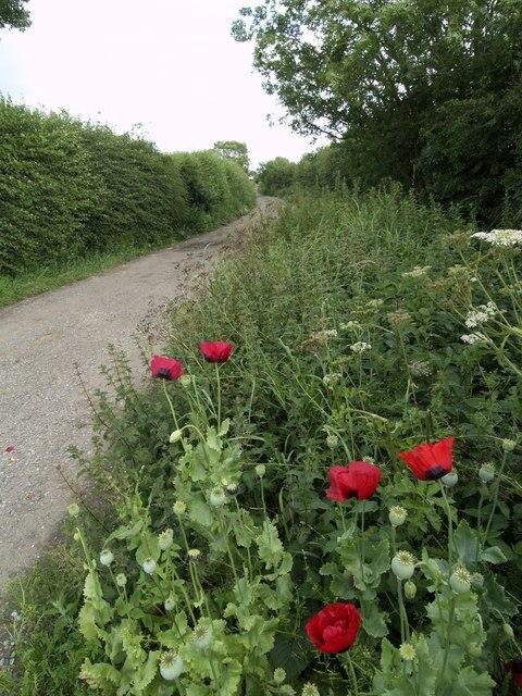 Photo "East Garton" by Andy Beecroft (CC BY-SA) / Cropped from original