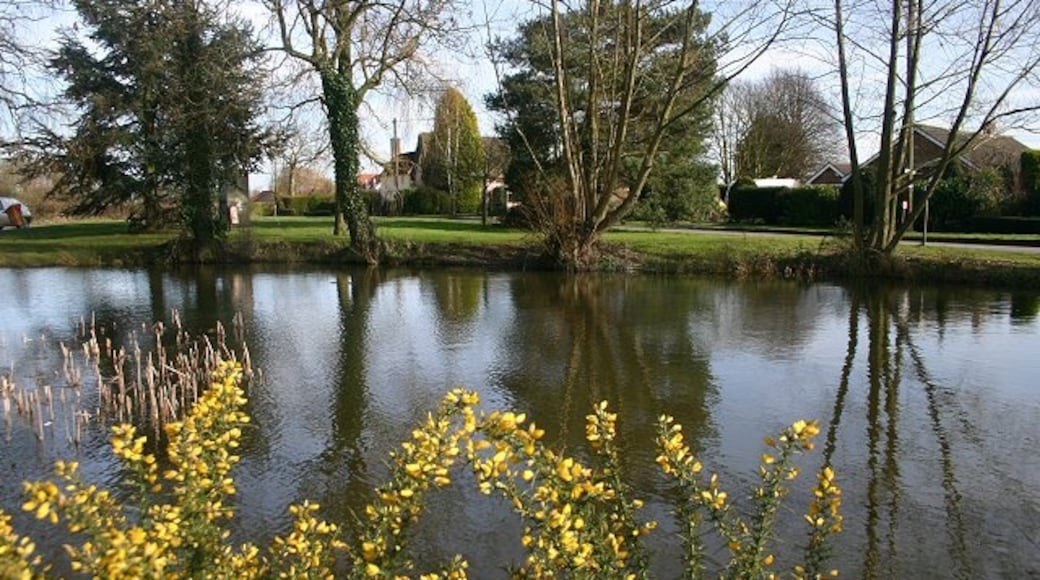 Kuva ”Bacton” käyttäjältä Bob Jones (CC BY-SA) / rajattu alkuperäisestä kuvasta