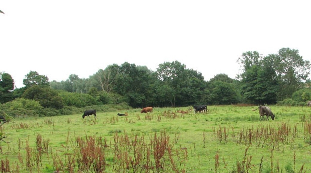 Foto „Alpington“ von Evelyn Simak (CC BY-SA)/zugeschnittenes Original