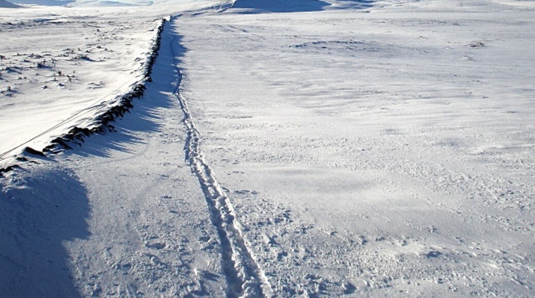 Foto “Scargill” tomada por Andy Waddington (CC BY-SA); recorte de la original