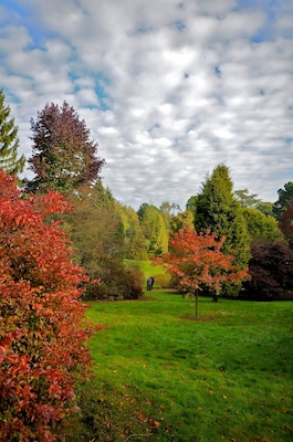 Park at Autumn