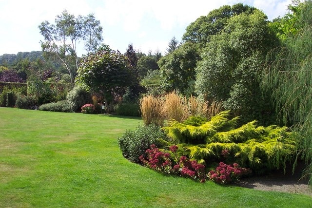 Rosemoor in late summer glory.