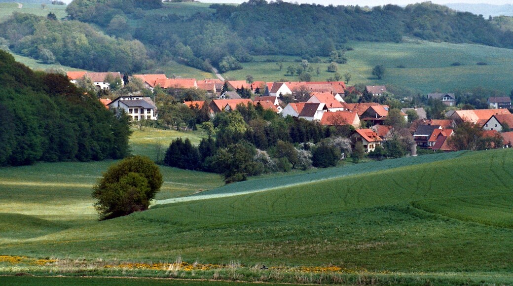 Dennweiler-Frohnbach, Rhineland-Palatinate, Germany