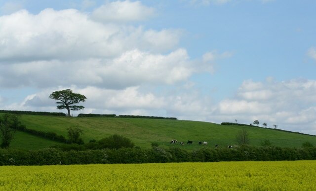Foto “Tibberton” tomada por Andrew Darge (CC BY-SA); recorte de la original