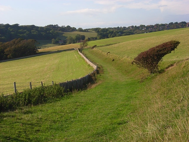 Downland, East Dean The bridleway heading towards Birling Farm from Cornish Farm.