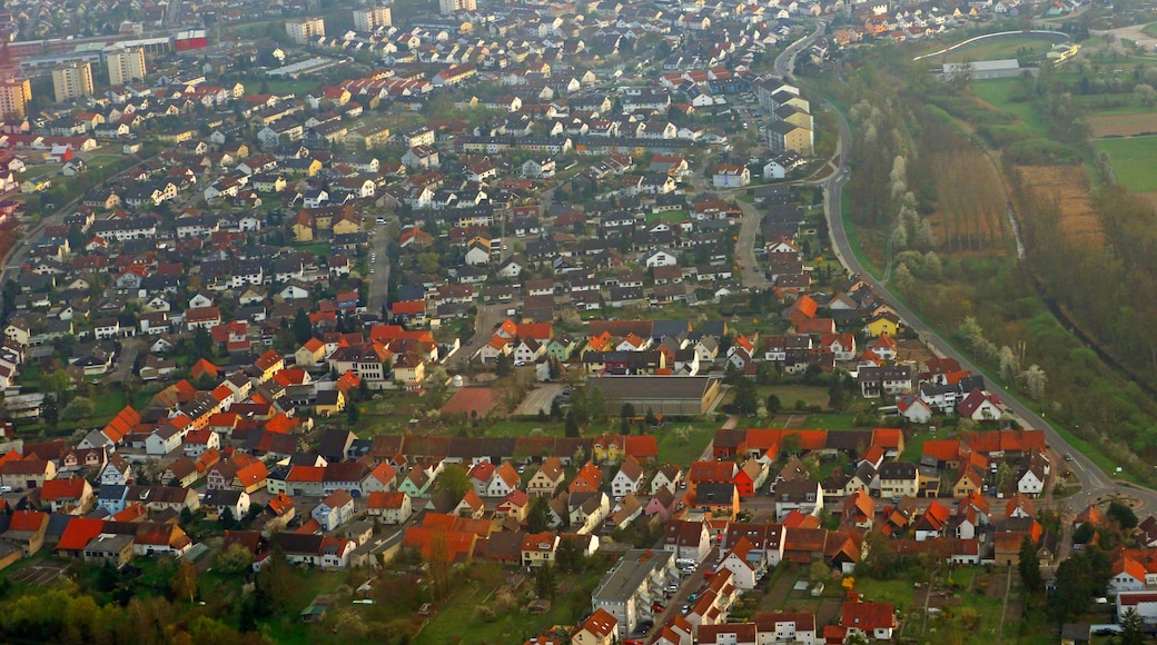 Foto „Linkenheim-Hochstetten“ von Dg-505 (CC BY)/zugeschnittenes Original