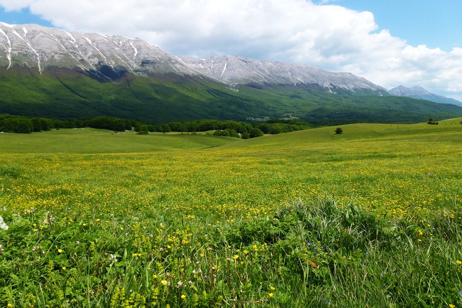 Prateria sul Passo San Leonardo