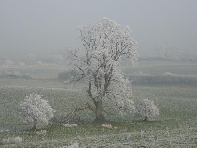 Ảnh "Burrill với Cowling" của Tony Wells (CC BY-SA) / Cắt từ ảnh gốc