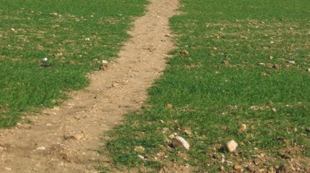 Photo "St Ippolyts" by Jo Hennessey (CC BY-SA) / Cropped from original