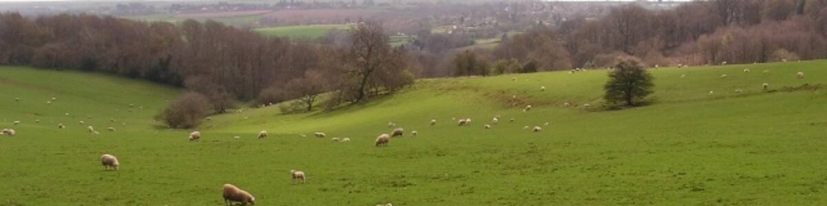 Photo "Towards the River Severn This square is basically on the hillside that goes down to the Severn Vale." by Stuart Wilding (Creative Commons Attribution-Share Alike 2.0) / Cropped from original