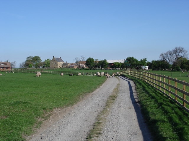 Billede "Winton, Stank and Hallikeld" af Frank Glover (CC BY-SA) / beskåret fra det originale billede