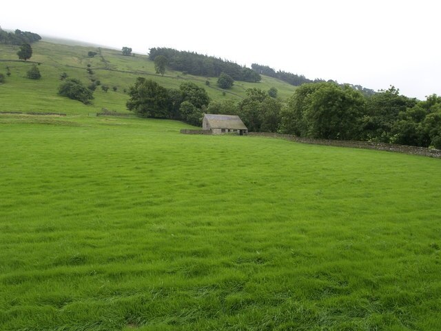 Ảnh "Bishopdale" của Andy Beecroft (CC BY-SA) / Cắt từ ảnh gốc