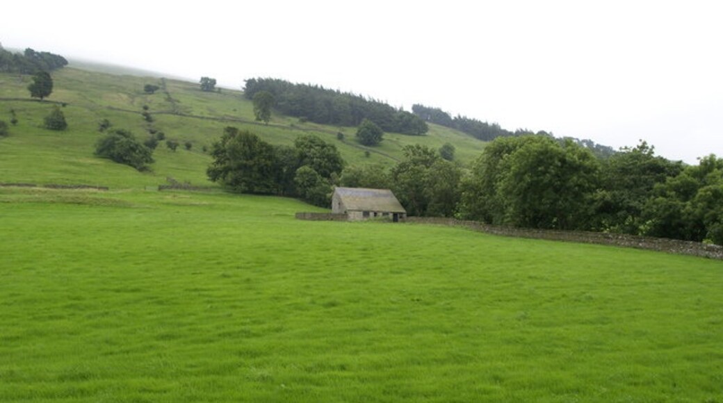 Foto “Bishopdale” tomada por Andy Beecroft (CC BY-SA); recorte de la original