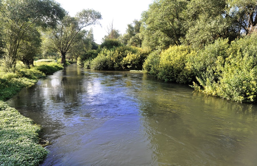 Fiume Tirino 2013
