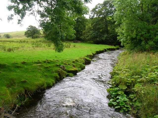 Bordley Beck